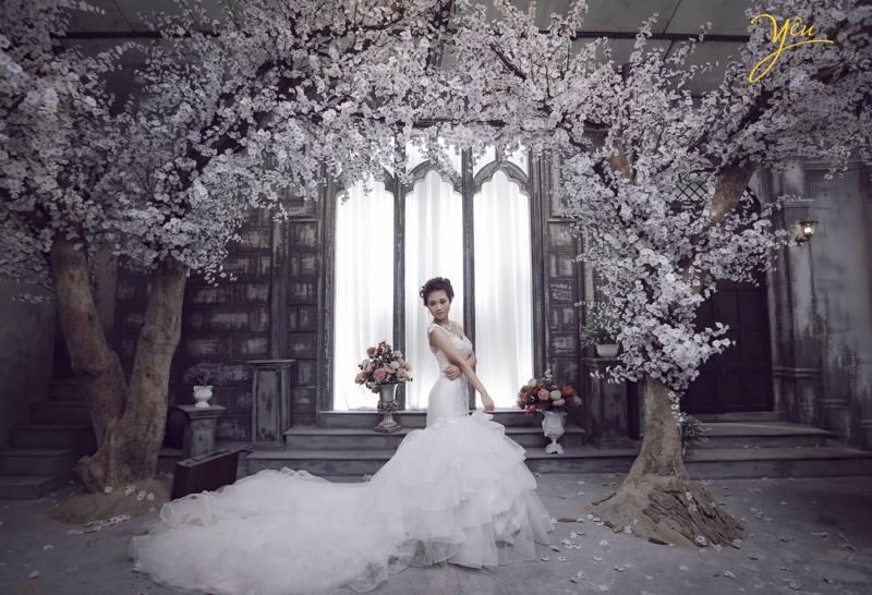 phim trường Rosa