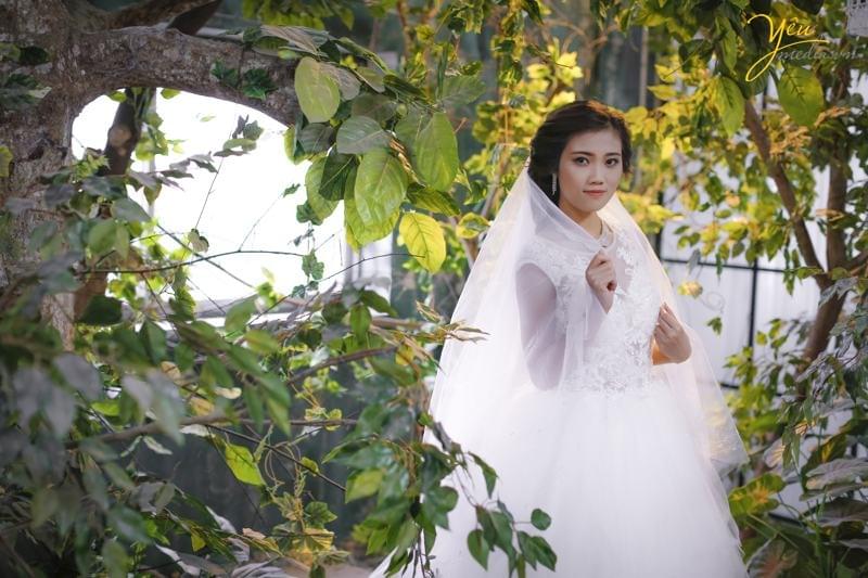 phim trường Rosa