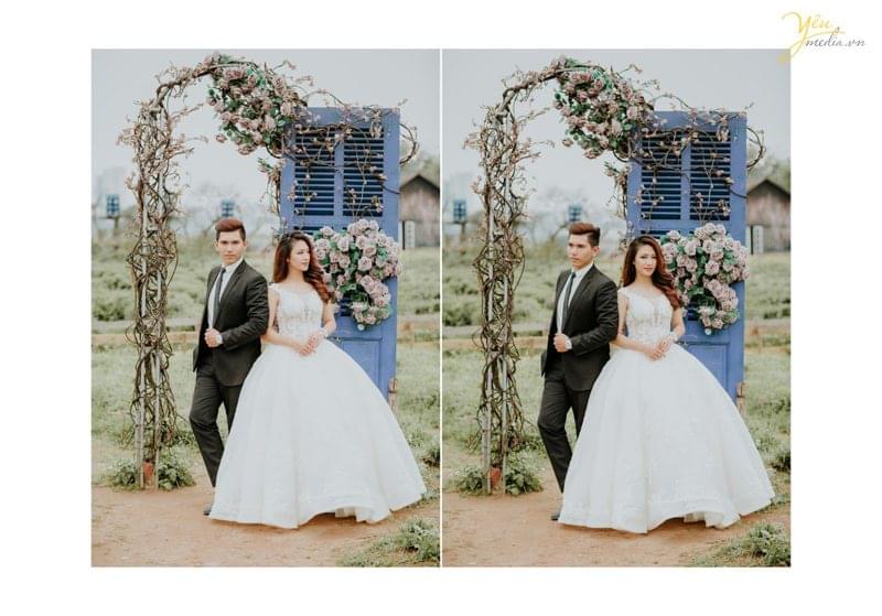 ảnh cưới chụp tại thảo nguyên hoa
