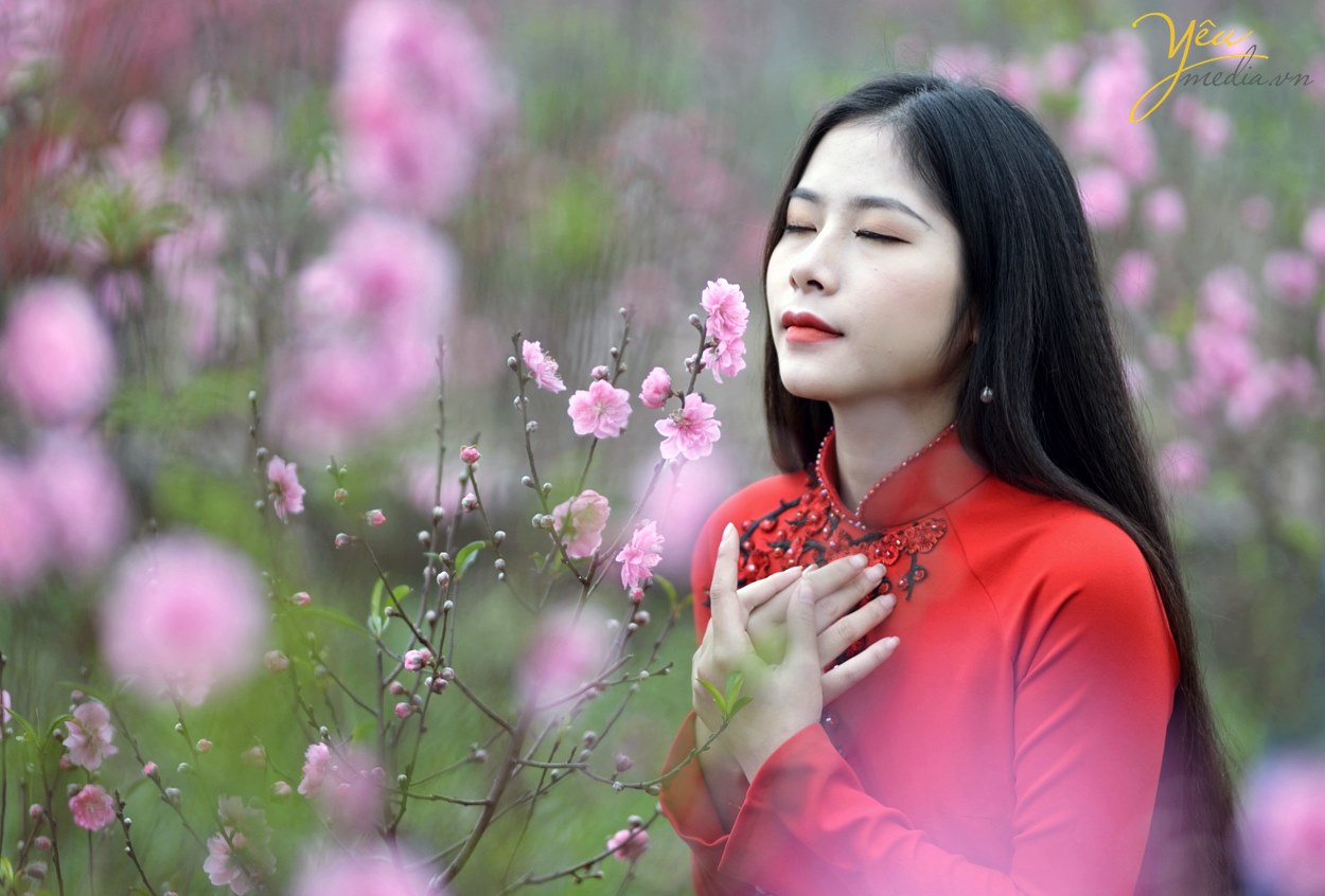 Thiếu nữ Hà Nội tìm về nét tinh khôi xưa bên hoa đào