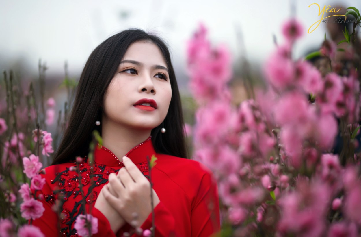 Thiếu nữ diện áo dài khoe sắc thắm bên hoa đào - Báo Đông Nam Á