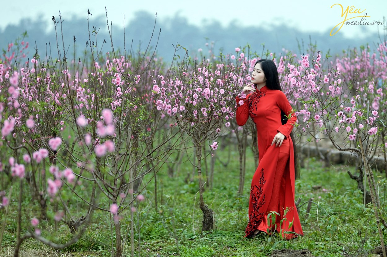Thiếu nữ rạng ngời bên hoa đào - Ngôi sao