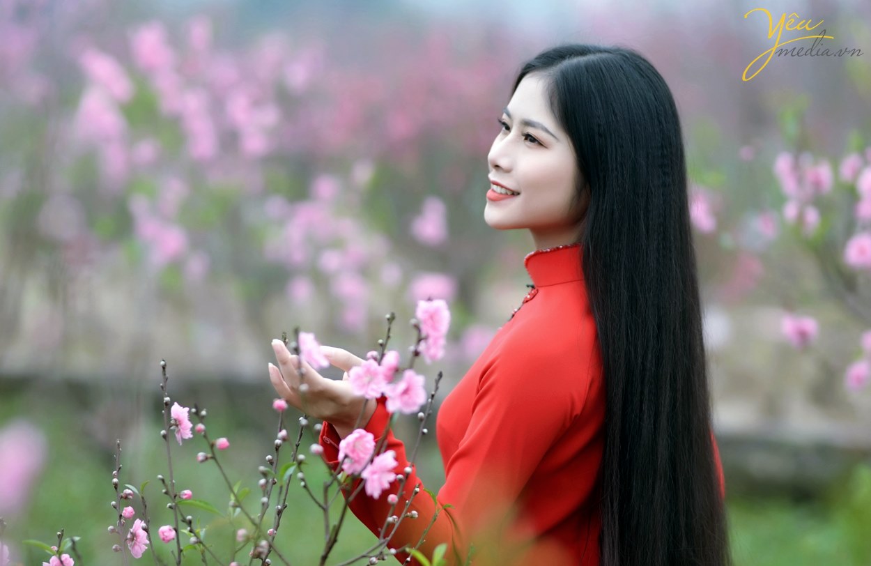 Cô gái Hà thành tạo dáng xinh đẹp bên hoa đào - Gương mặt trẻ ...