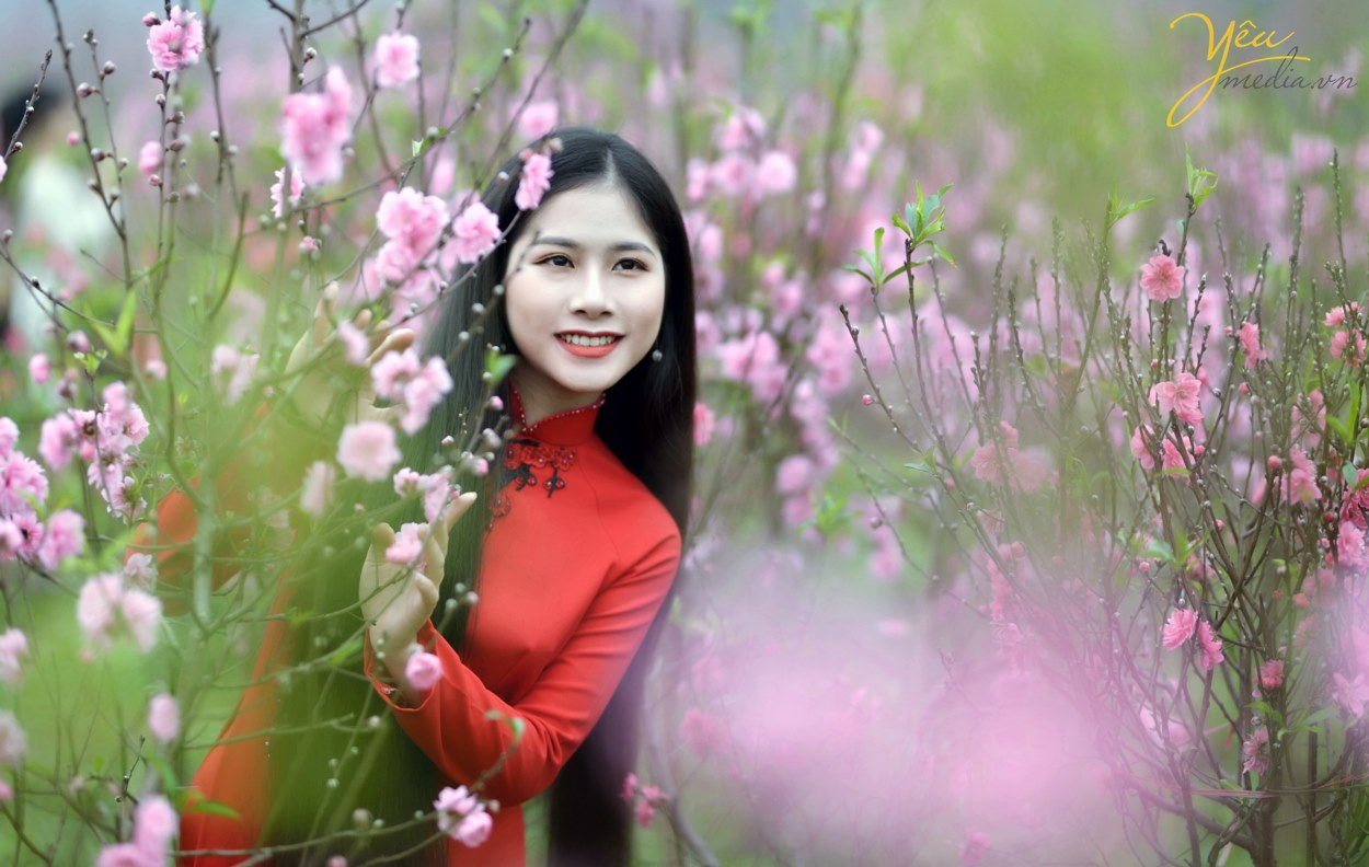 Thiếu nữ Hà Thành mỏng manh áo dài tạo dáng bên hoa đào - VOV