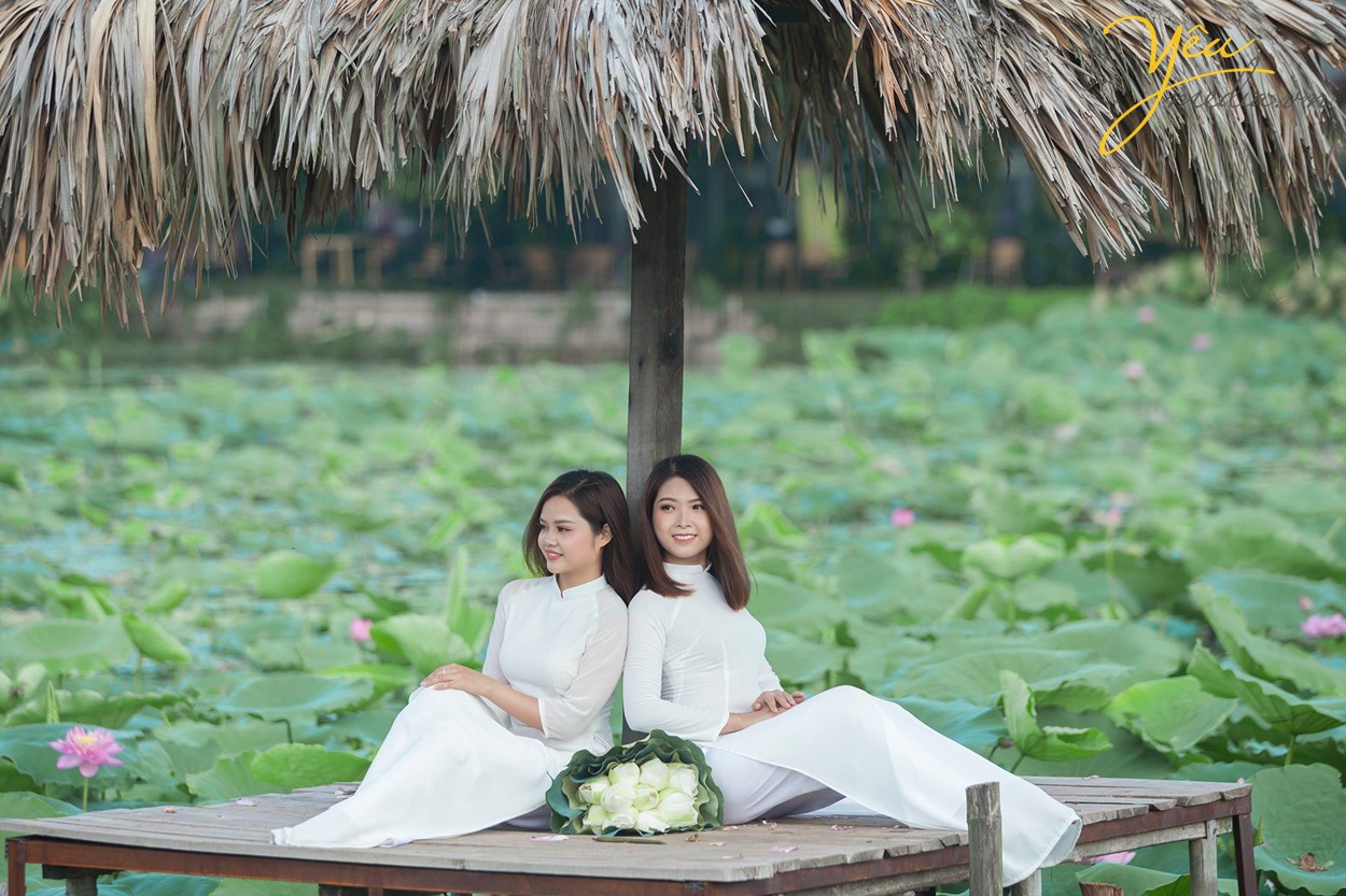 chụp ảnh áo dài bên hoa sen hồ tay ở hà nội