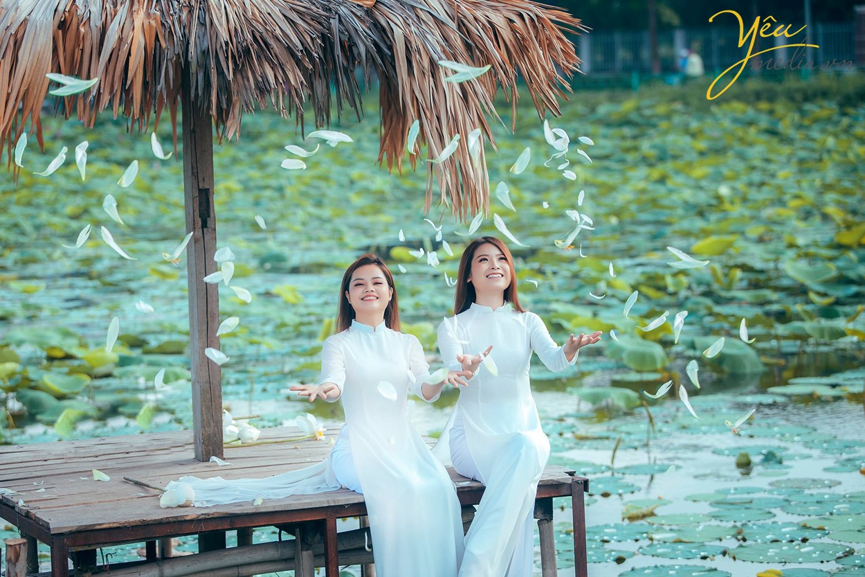 hai thiếu nữ hà nội bên hoa sen hồ tây