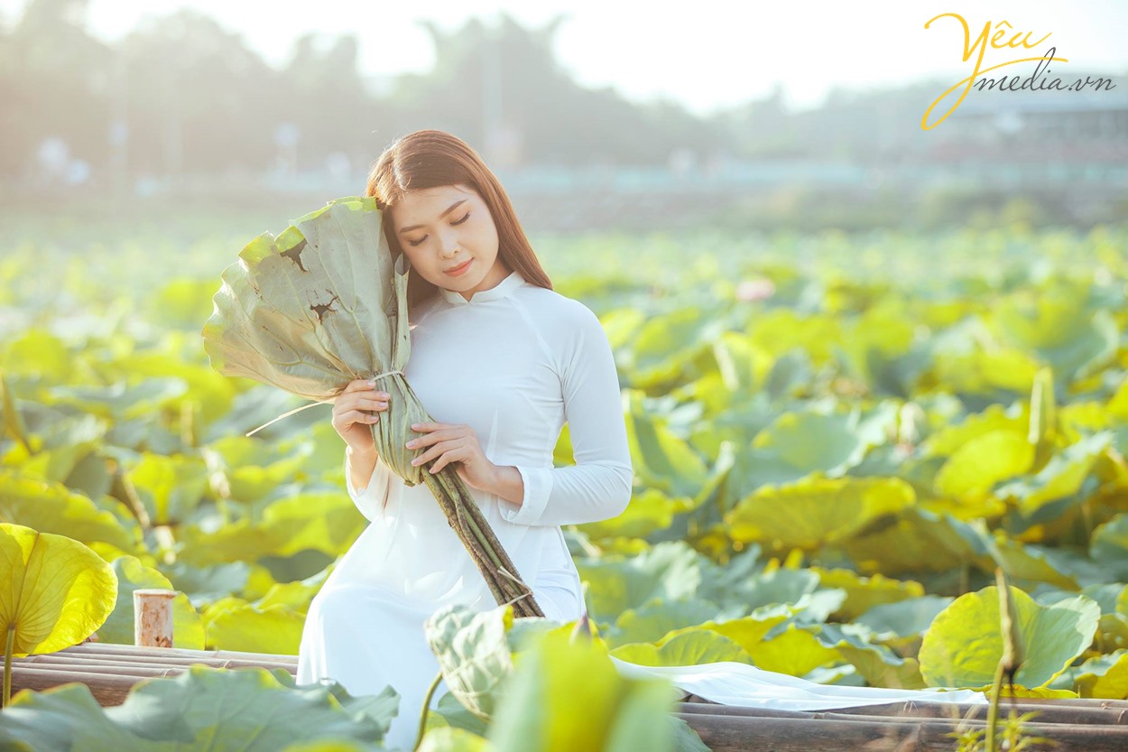 cô gái thùy mị nết na bên hoa sen hồ tây