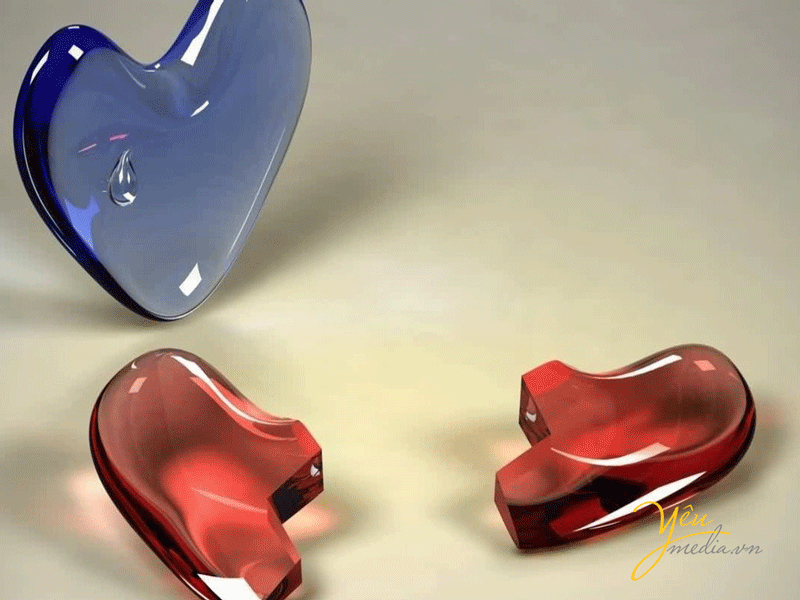 Hãy yêu khi còn có thể