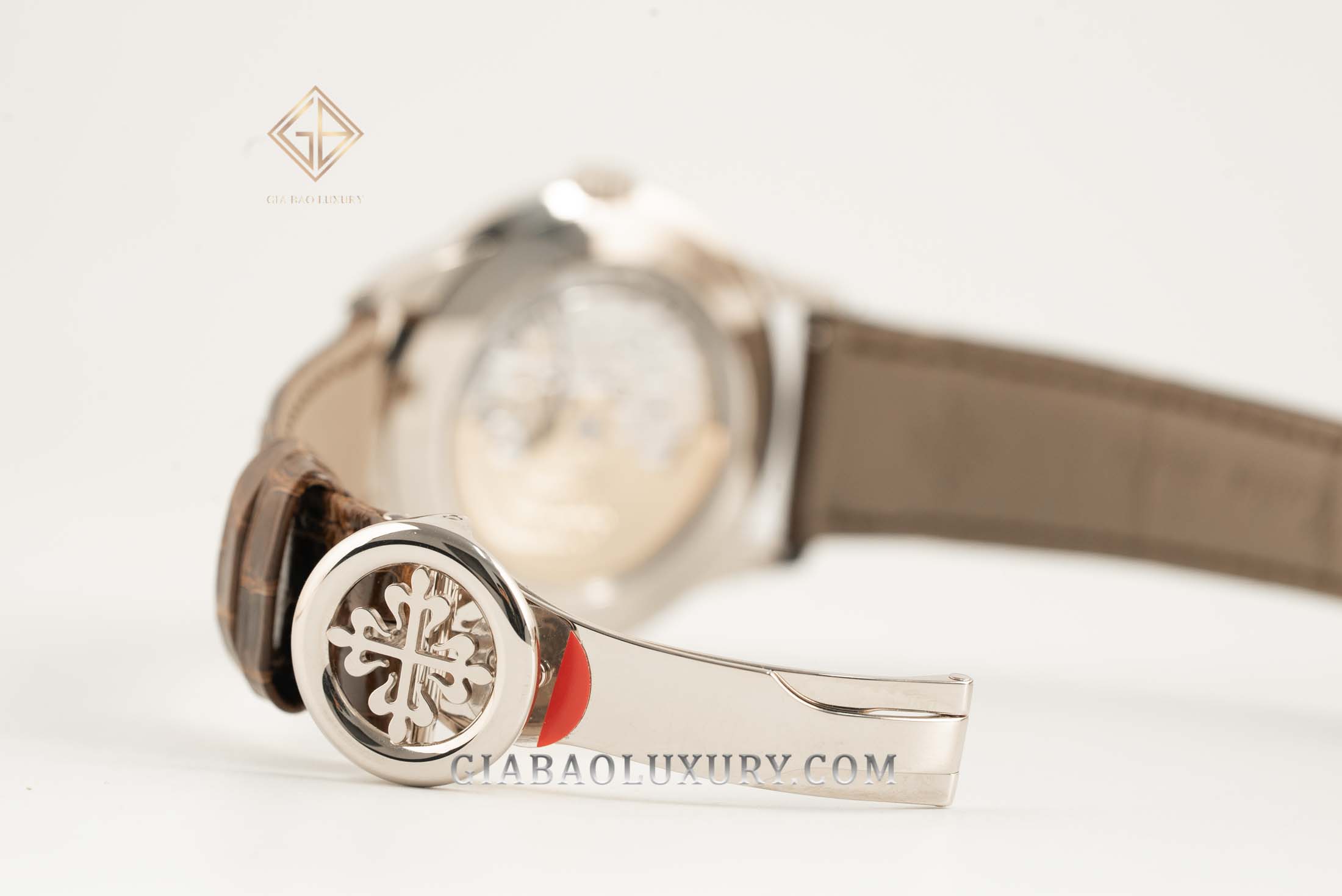 Đồng Hồ Patek Philippe Grand Complications 5320G-001