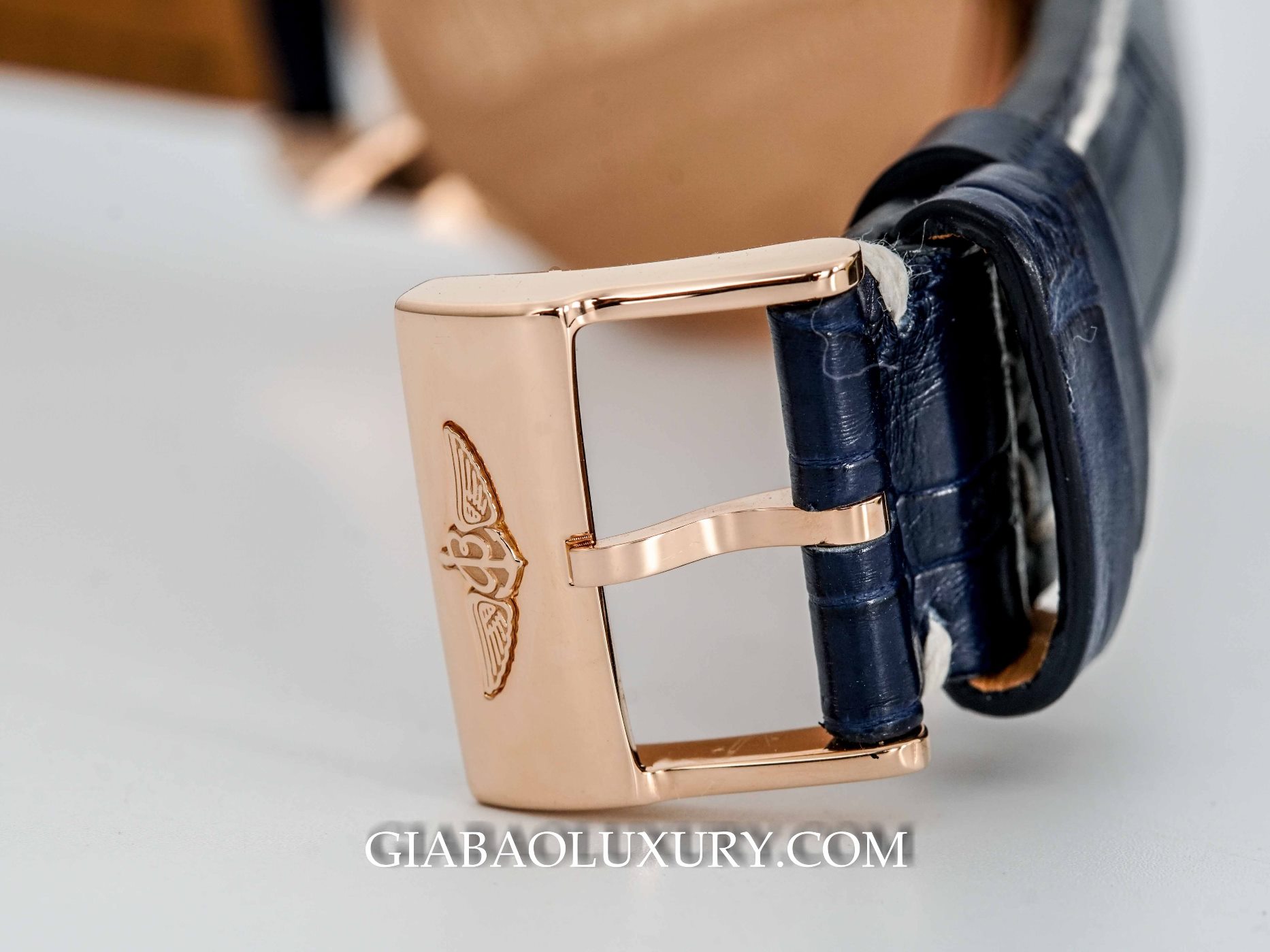 Đồng Hồ Breitling Montbrilliant 01 Đồng Hồ Breitling Montbrillant 01 RB013012/C896/718P