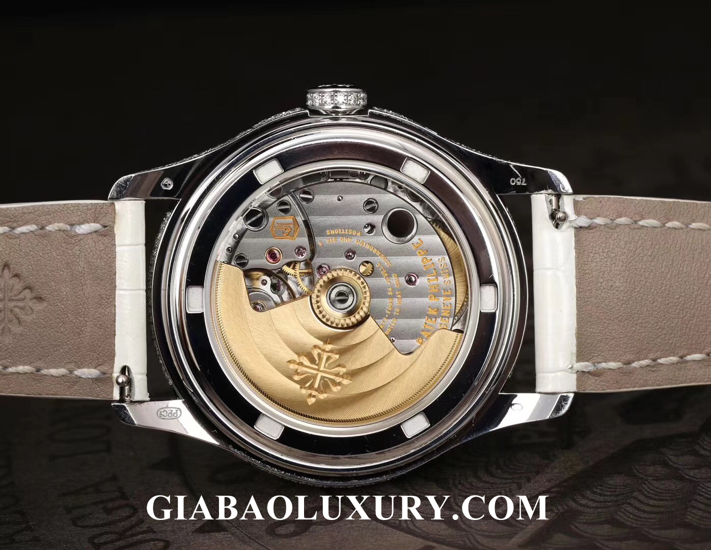 Đồng Hồ Patek Philippe Complications 4937G-001 Đồng Hồ Patek Philippe Complications 4937G-001