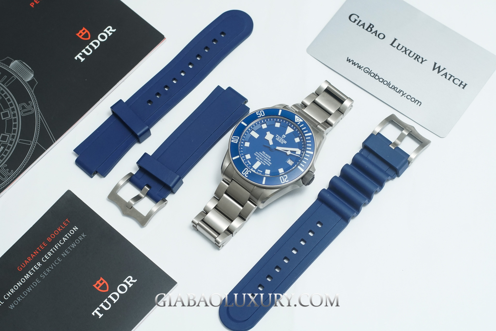 Đồng Hồ Tudor Pelagos 25600TB-0001