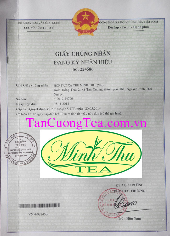 Làm thế nào để không mua phải trà Thái Nguyên rởm?