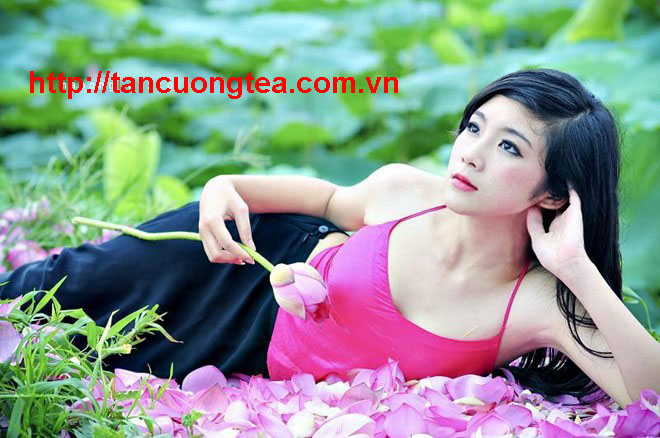 Cần tuyển Đại lý chè Thái Nguyên tại Bắc Ninh, Bắc Giang
