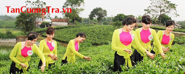 Phú Bình: Bình quân tiêu chí nông thôn mới tăng 8,9 tiêu chí/xã