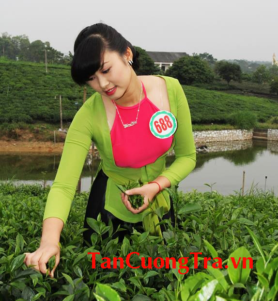 Những nông dân làm kinh tế giỏi