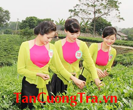 Từ Trà đạo đến Trà thư