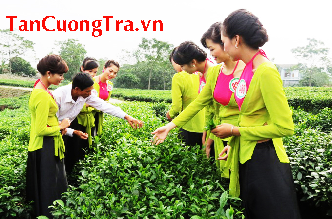 Văn hóa uống trà xưa và nay của người Việt