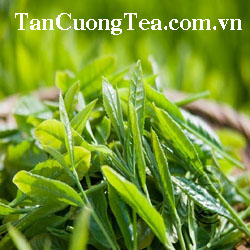 Những loại trái cây dồi dào Vitamin C