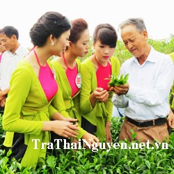 Thông báo tuyển Đại lý chè Tân Cương Thái Nguyên tại Quảng Ninh