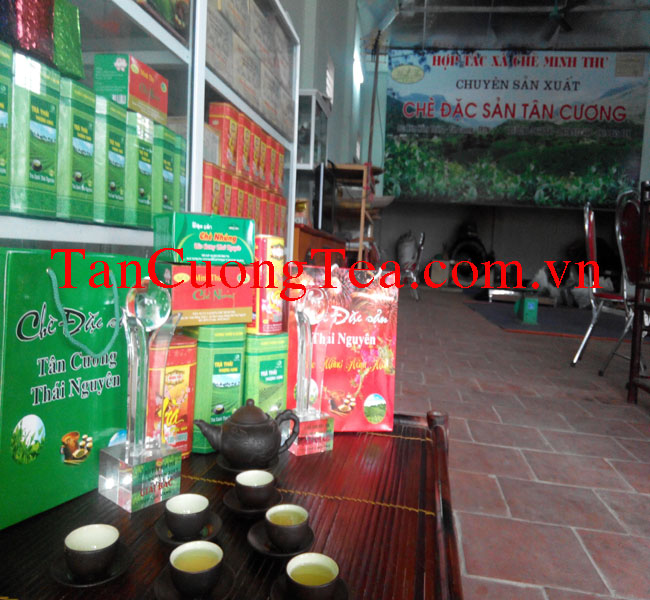 Đơn vị nào sản xuất chè Tân Cương chính gốc?