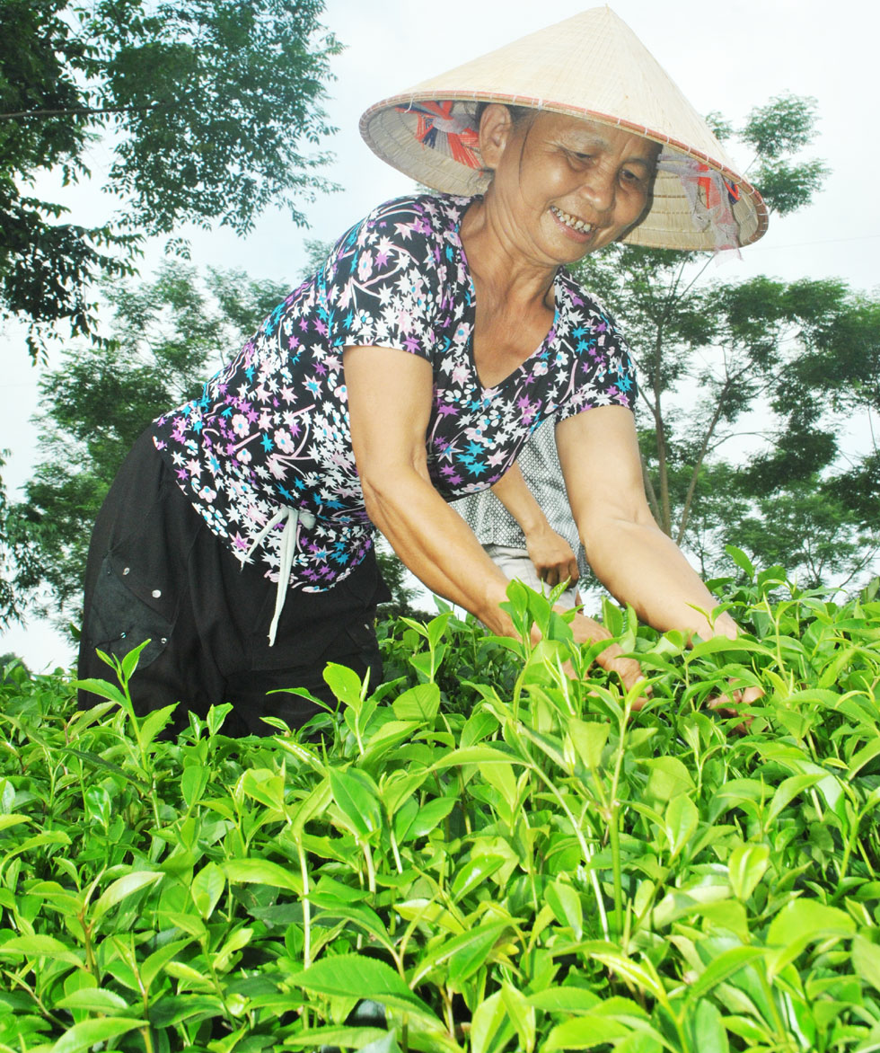 Uống rượu cũng là thủ phạm làm tăng cân
