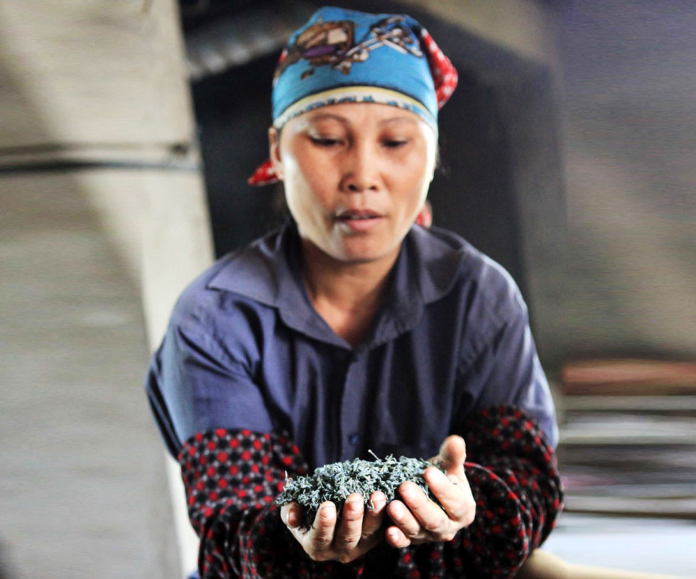 Cách chọn, bảo quản rau quả đúng cách