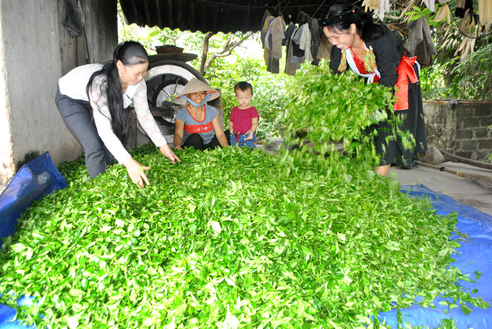 Lựa chọn thực phẩm an toàn
