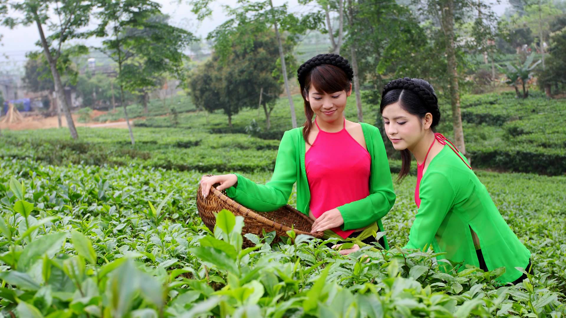 Thái Nguyên sẽ có