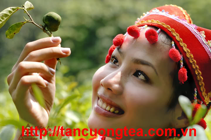 Lễ hội trà Đại Từ năm 2014 tuyệt vời