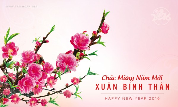 Thông báo mở cửa bán trà Thái Nguyên tết Bính Thân