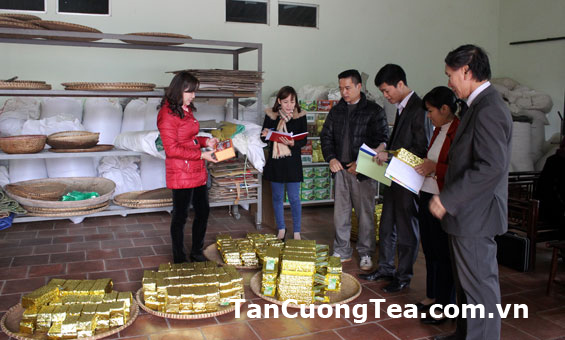 Chè Thái Nguyên góp phần thúc đẩy phát triển kinh tế của tỉnh