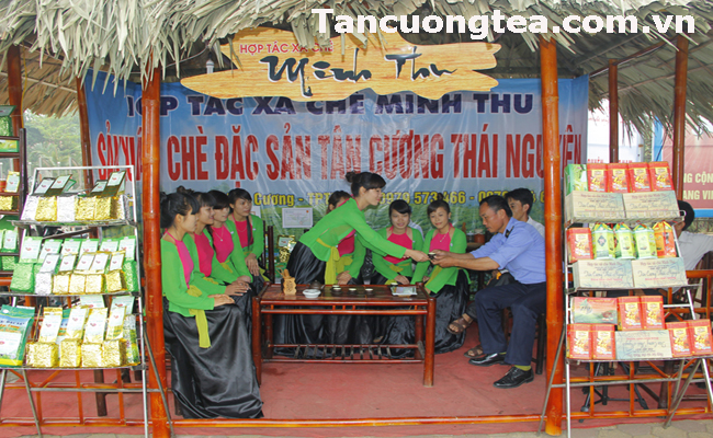 Chè Tân Cương Thái Nguyên vừa rẻ vừa ngon mua ở đâu?