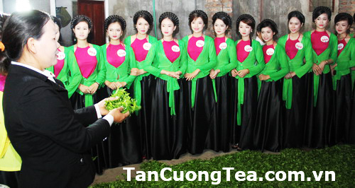 Chỉ có chè Thái Nguyên chính gốc mới thực sự thơm ngon.