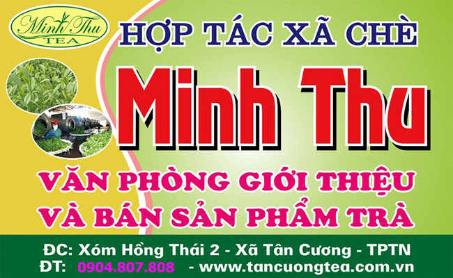 Có cần sản xuất chè Thái Nguyên an toàn để phục vụ người tiêu dùng?