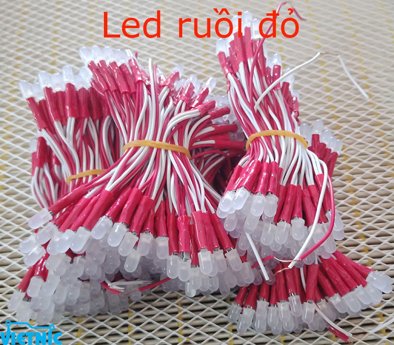 Led ruồi đà nẵng