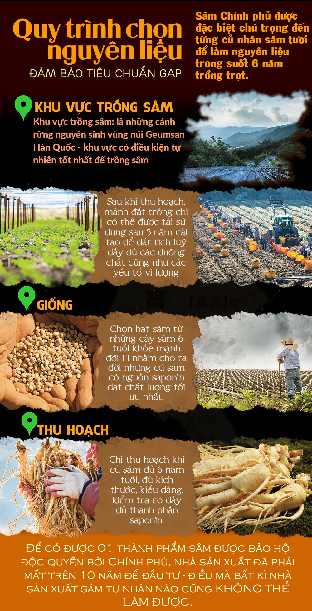 sâm khô hộp thiếc 600g hàn quốc