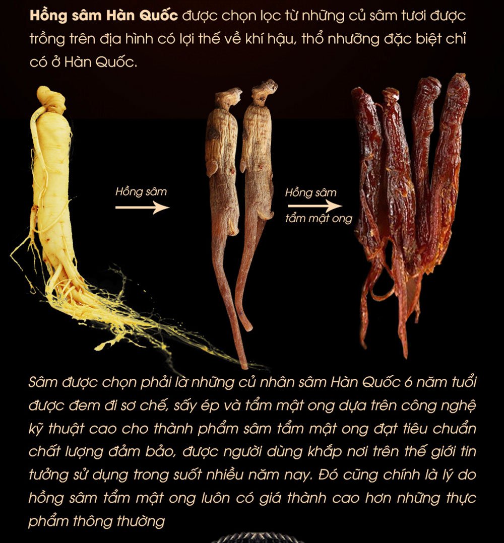 hồng sâm củ tẩm mật ong - bio apgold