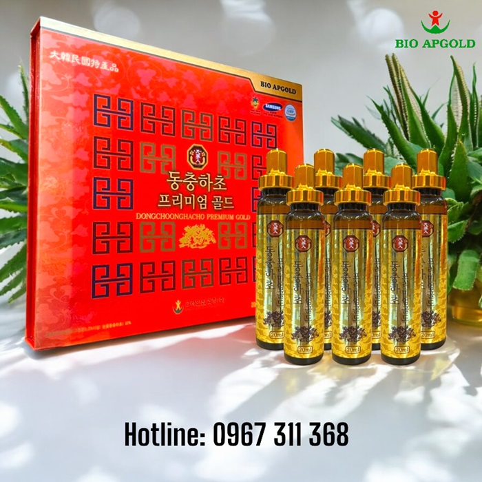 đông ytrungf hạ thảo 20 ống