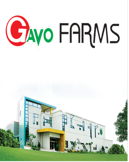 Gavo Farms Co., Co.Ltd