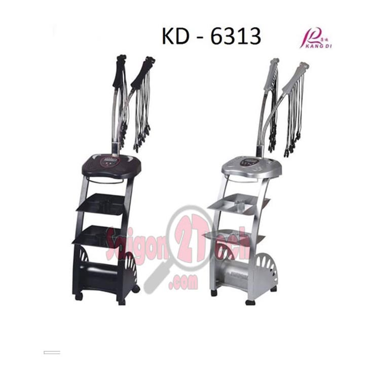 máy uốn tóc setting 6313