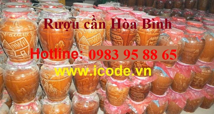 Rươu cần Hào Bình 