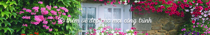 Cây Cảnh Hoàng Anh