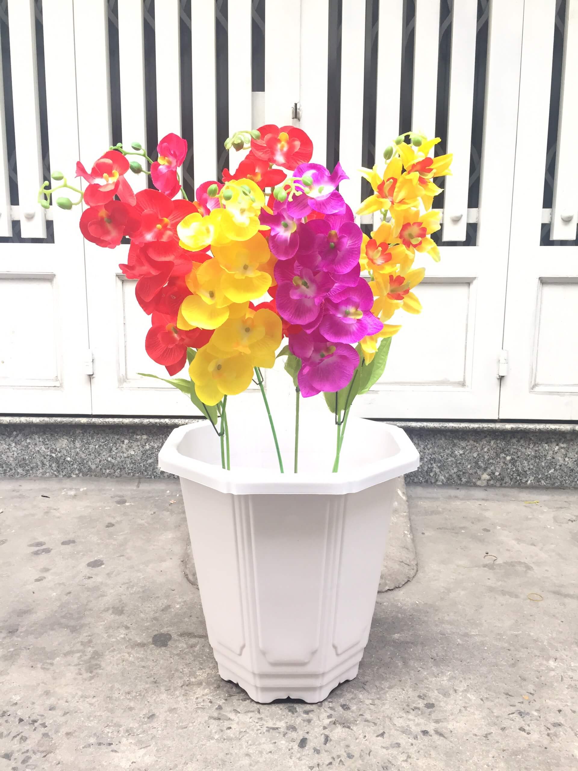 Chậu bát giác 39x23x39cm