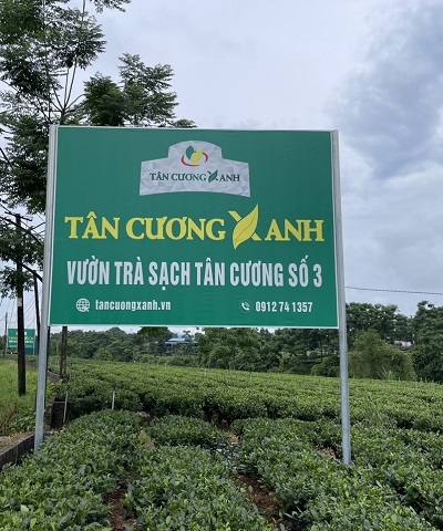 Địa Chỉ Bán Trà Thái Nguyên, Trà Tân Cương Ngon – Giao Hàng Toàn Quốc