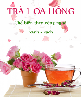 trà hoa hồng