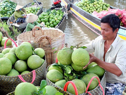 Nông sản Vĩnh Long