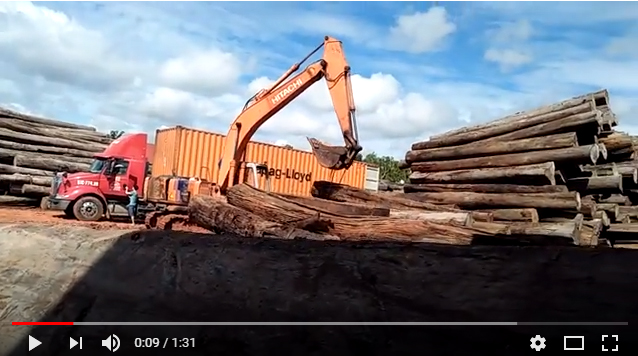 KHÁNH VUA Xuất 50 Container gỗ Căm Xe cho đối tác Ấn Độ tại kho Bình Phước