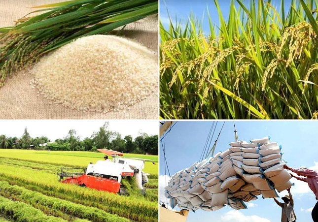 Xuất khẩu nông sản 9 tháng đạt gần 30 tỷ USD, thu ròng hơn 6 tỷ USD