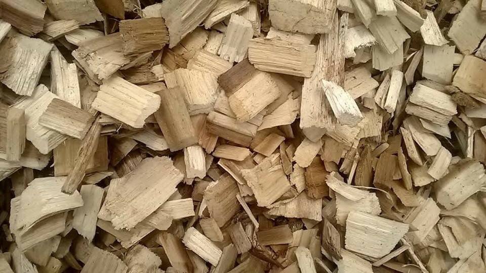 Doanh nghiệp Nam Phi cần xuất khẩu gỗ băm (Gỗ tạp)
